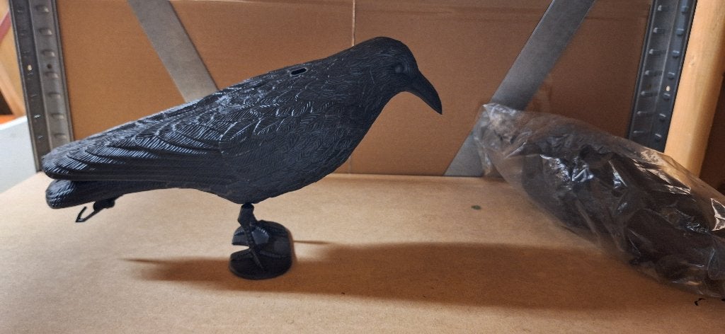 Kraai afschrikvogel - Ophanghaak, Ophalen, Nieuw