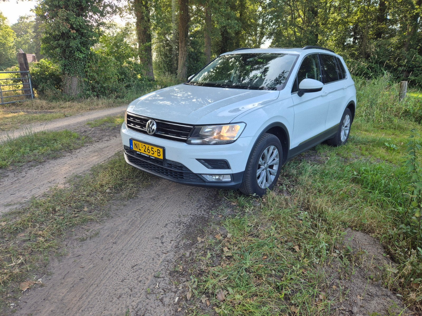 Volkswagen Tiguan 1.4TSI 150 pk 4Motion Panoramadak, Auto's, 4 cilinders, Wit, Origineel Nederlands, 1395 cc
