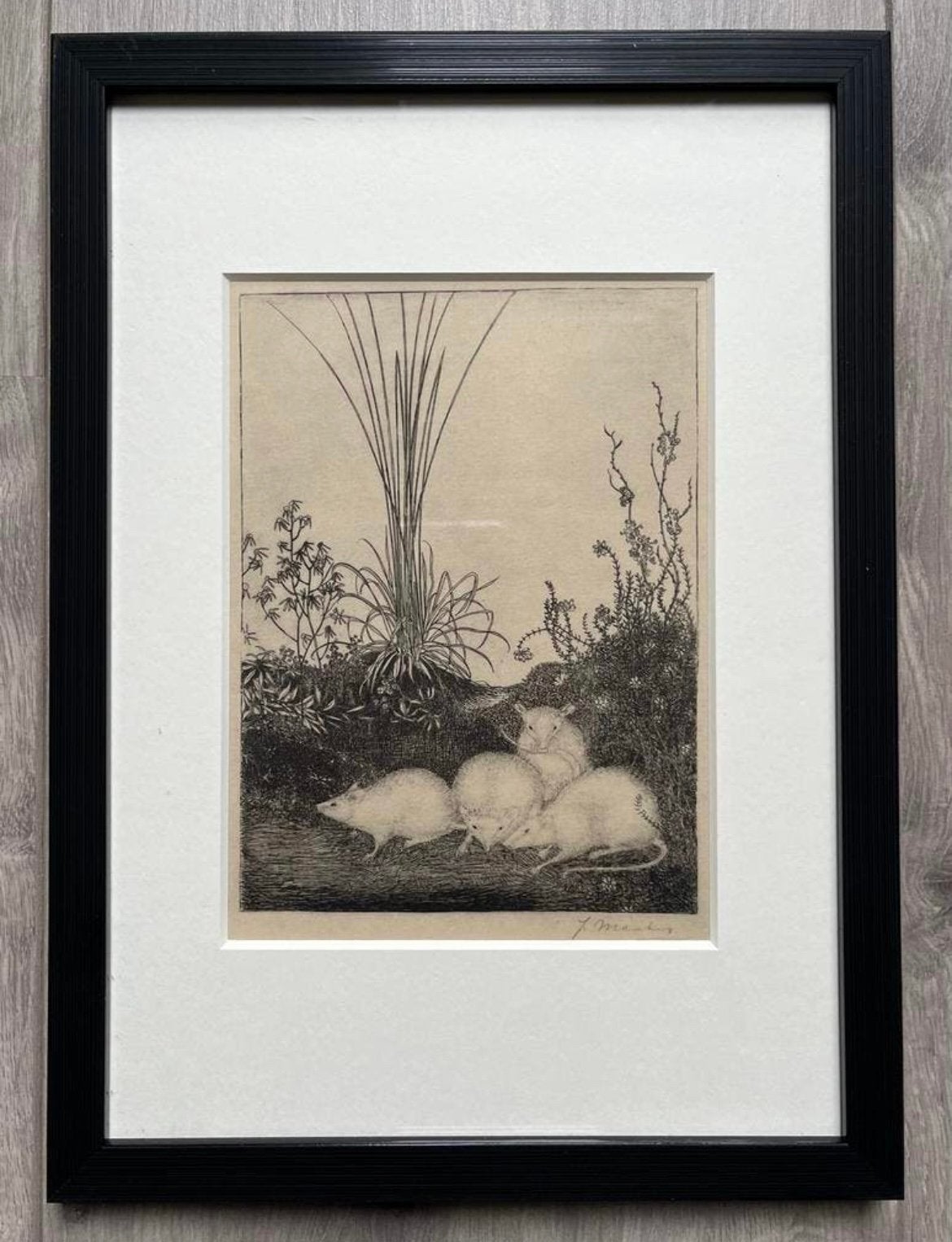 Jan Mankes 1889-1920 / Heliogravure 4 Muizen 1923, Antiek en Kunst, Ingelijst, 23 cm, Ophalen of Verzenden, Gravure