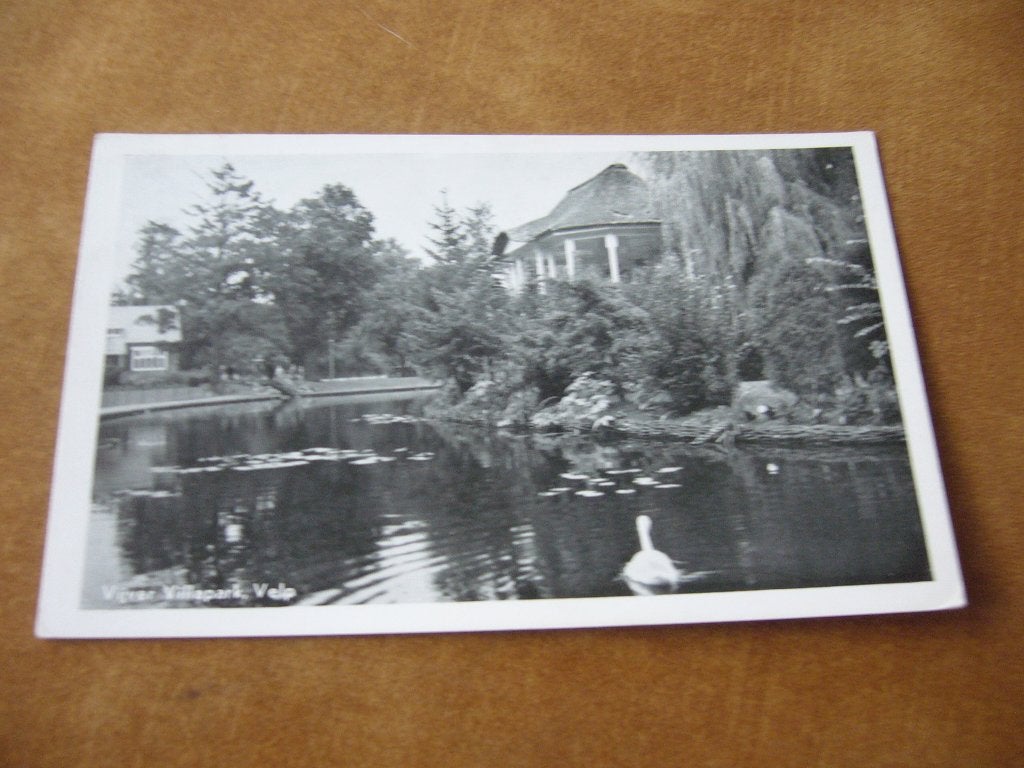 VELP  =  VIJVER VILLAPARK MET ZWAAN, Ophalen of Verzenden, 1920 tot 1940, Gelopen, Gelderland