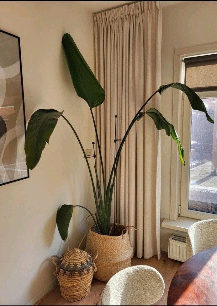 Planten mand, Tuin en Terras, Ophalen, Overige materialen, Minder dan 60 cm, Rond