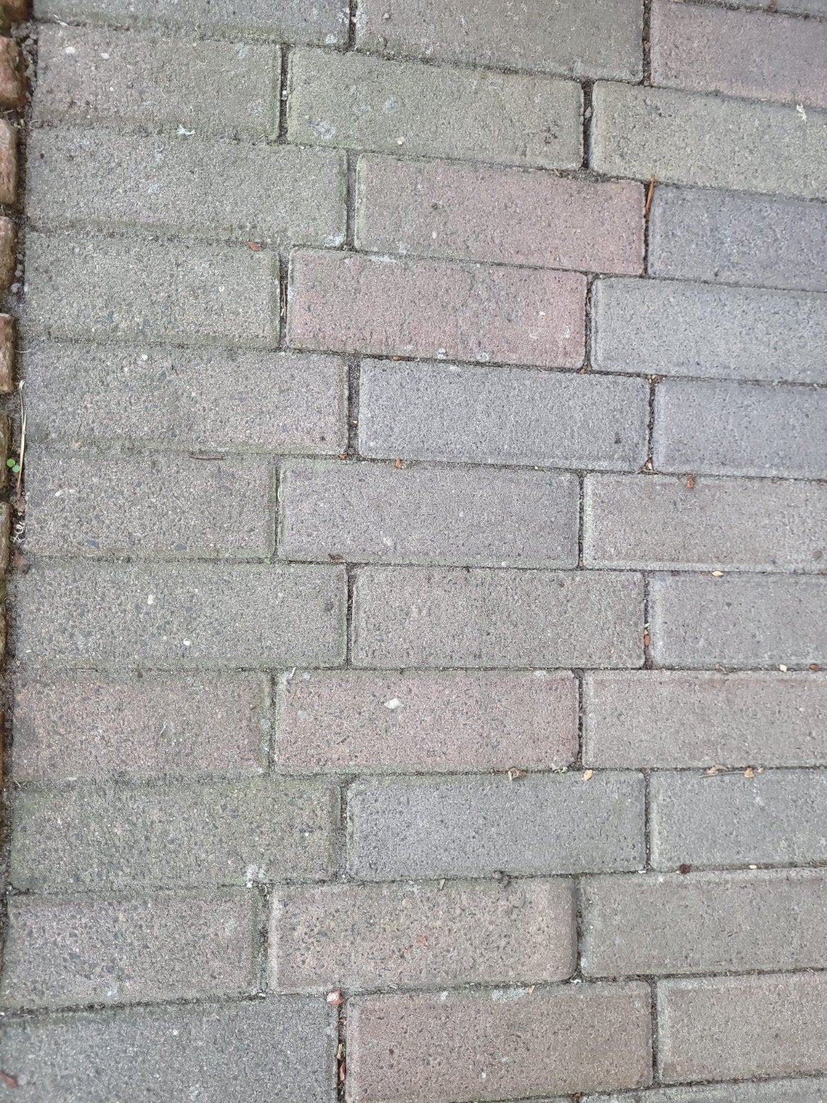 Gratis af te halen: sier- straatstenen, Tuin en Terras, Ophalen, Gebruikt, 5 tot 10 m²
