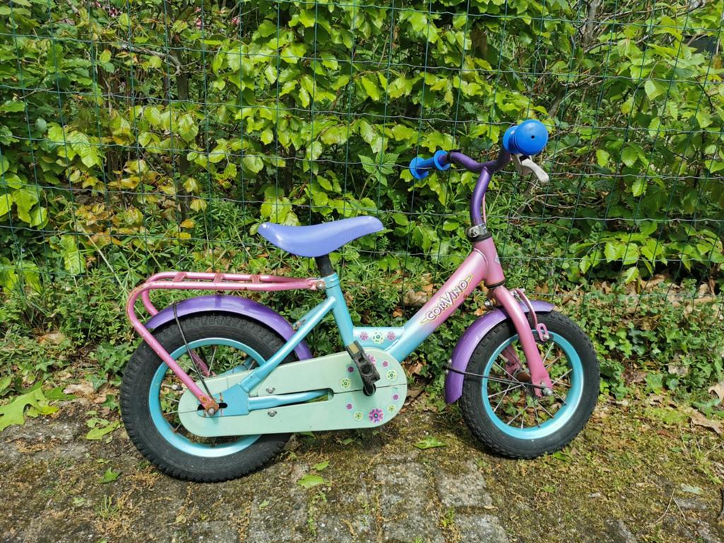 Kinder fietsje 12 inch, Ophalen, Gebruikt, Minder dan 16 inch, Zijwieltjes
