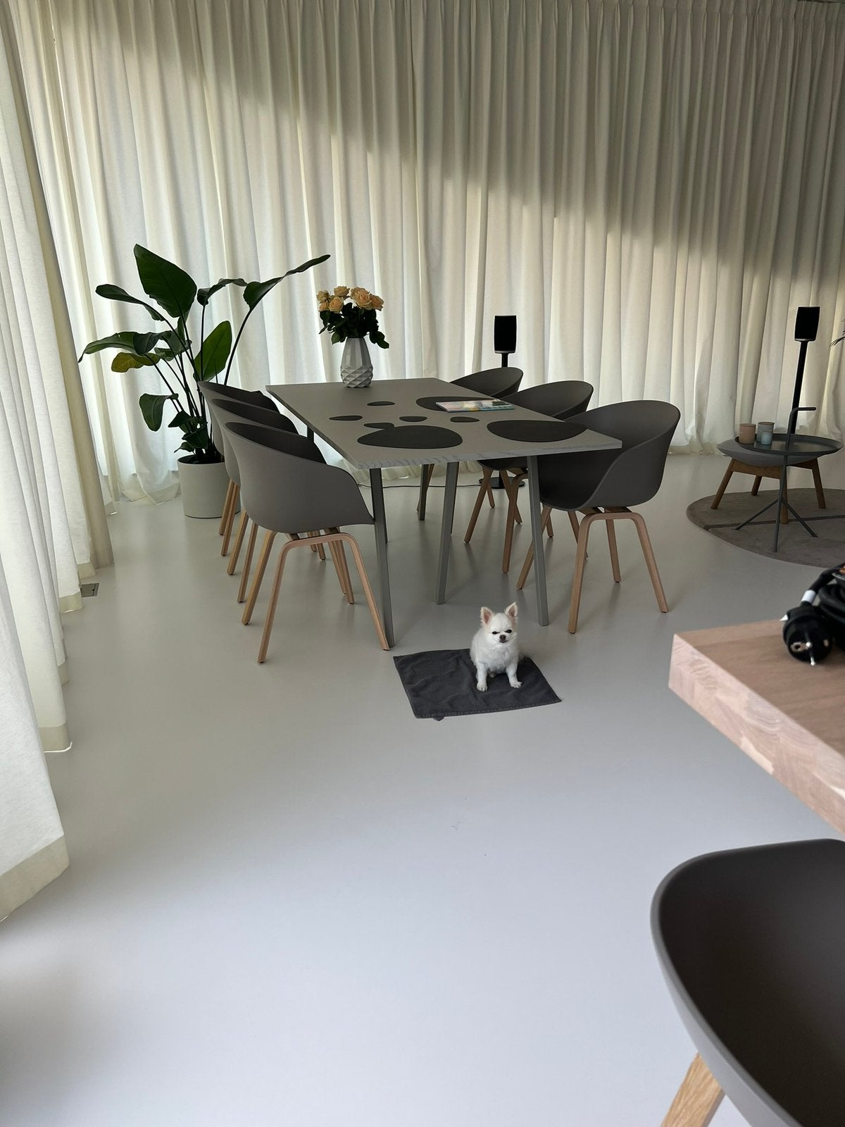 Set van 6 Stoelen - HAY AAC22 Beige (Khaki) Eikenhout, Ophalen, Kunststof, Bruin, Zo goed als nieuw