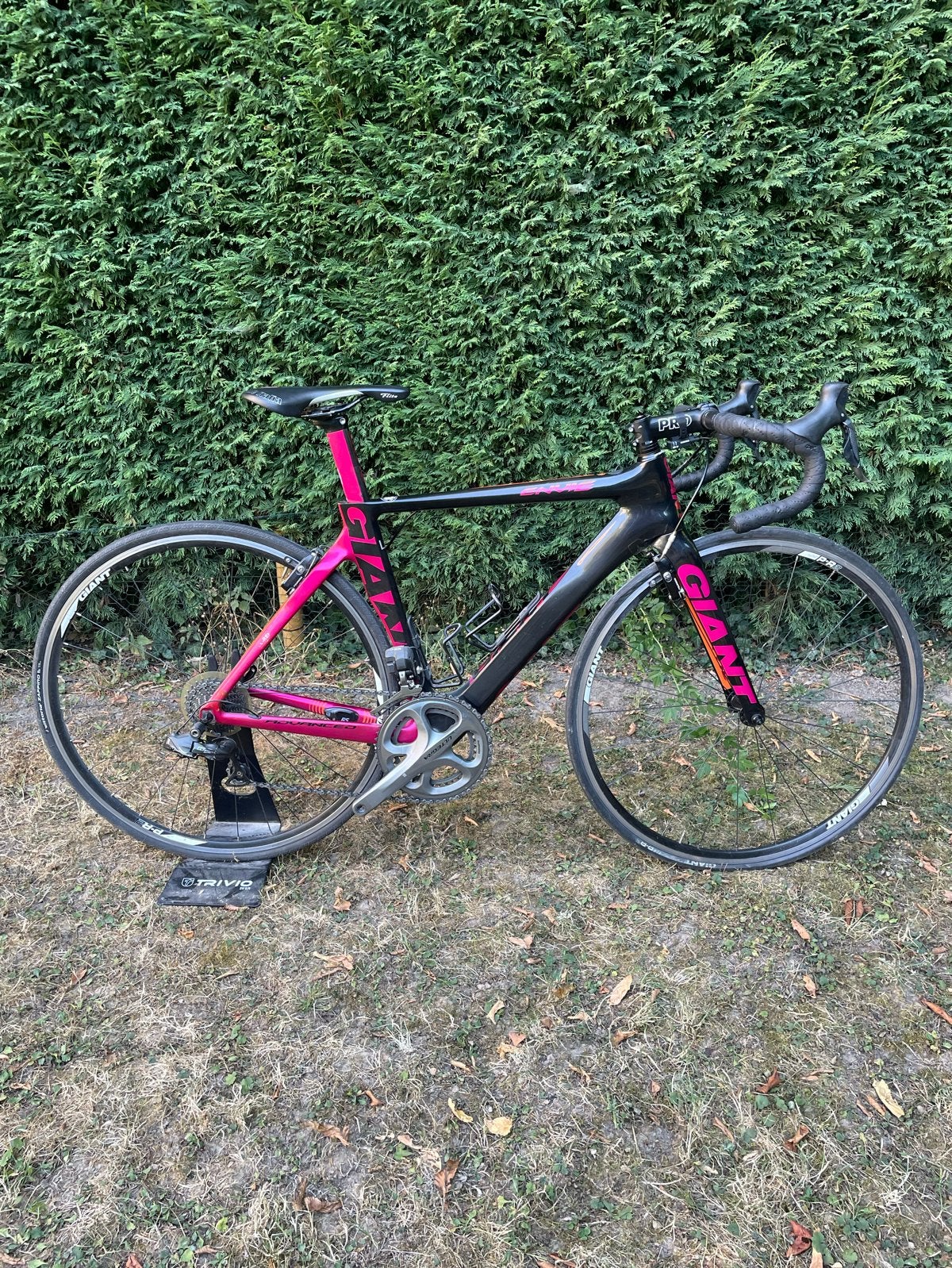 Liv Giant Envie Advanced Carbon | Maat S | Ultegra Di2 |, Fietsen en Brommers, Fietsen | Racefietsen, 28 inch, Gebruikt, Carbon