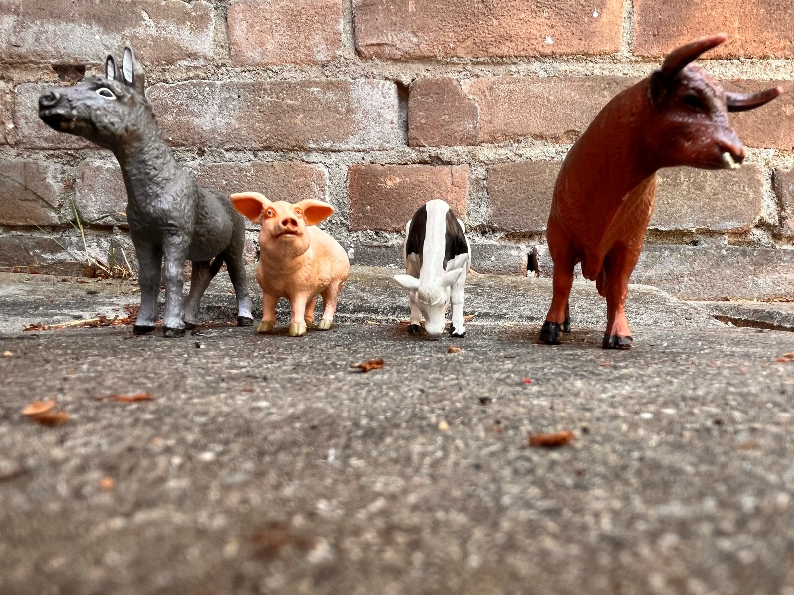 Boerderijdieren beeldjes set: Ezel, Varken, Kalf, Stier, Ophalen, Gebruikt, Boerderijdier, Beeldje of Figuurtje
