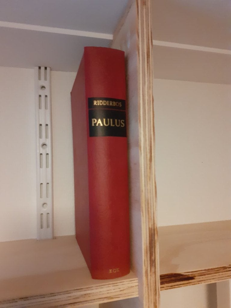 Paulus Ridderbos, Gelezen, Ridderbos, Christendom | Protestants, Ophalen of Verzenden