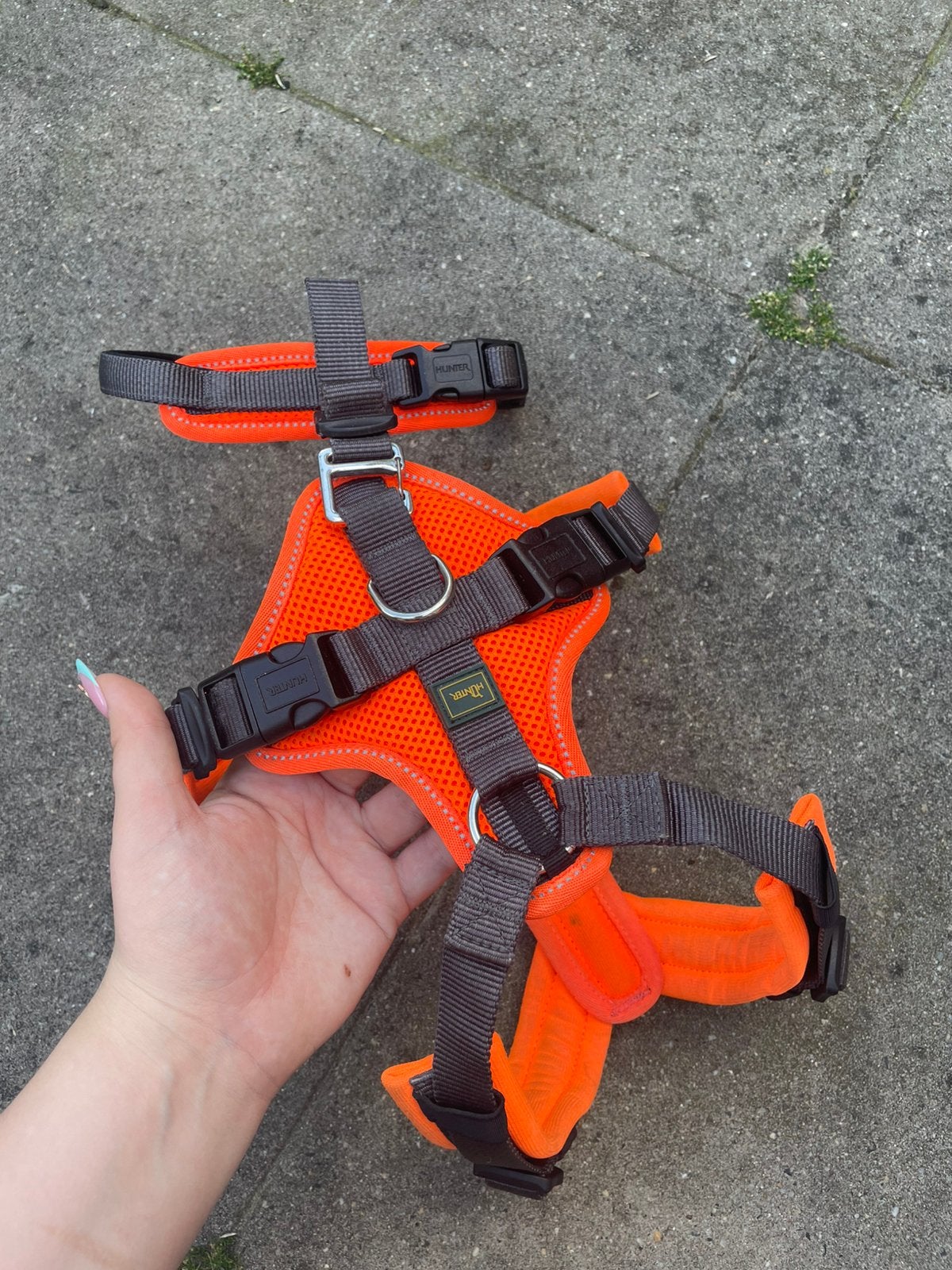 Hunter Veiligheidsharnas Maldon - Anti ontsnappings tuig., Ophalen, Zo goed als nieuw, Hondenriem-accessoire