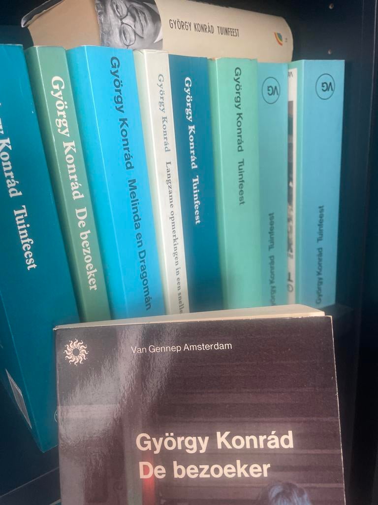 György Konrád - De bezoeker (Van Gennep Amsterdam), Ophalen of Verzenden, Zo goed als nieuw