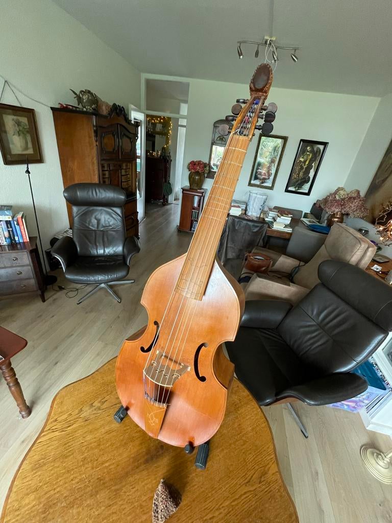 Bas viola da gamba, 7-snarig, Fred Brucher Amsterdam, Muziek en Instrumenten, Strijkinstrumenten | Violen en Altviolen, Ophalen of Verzenden