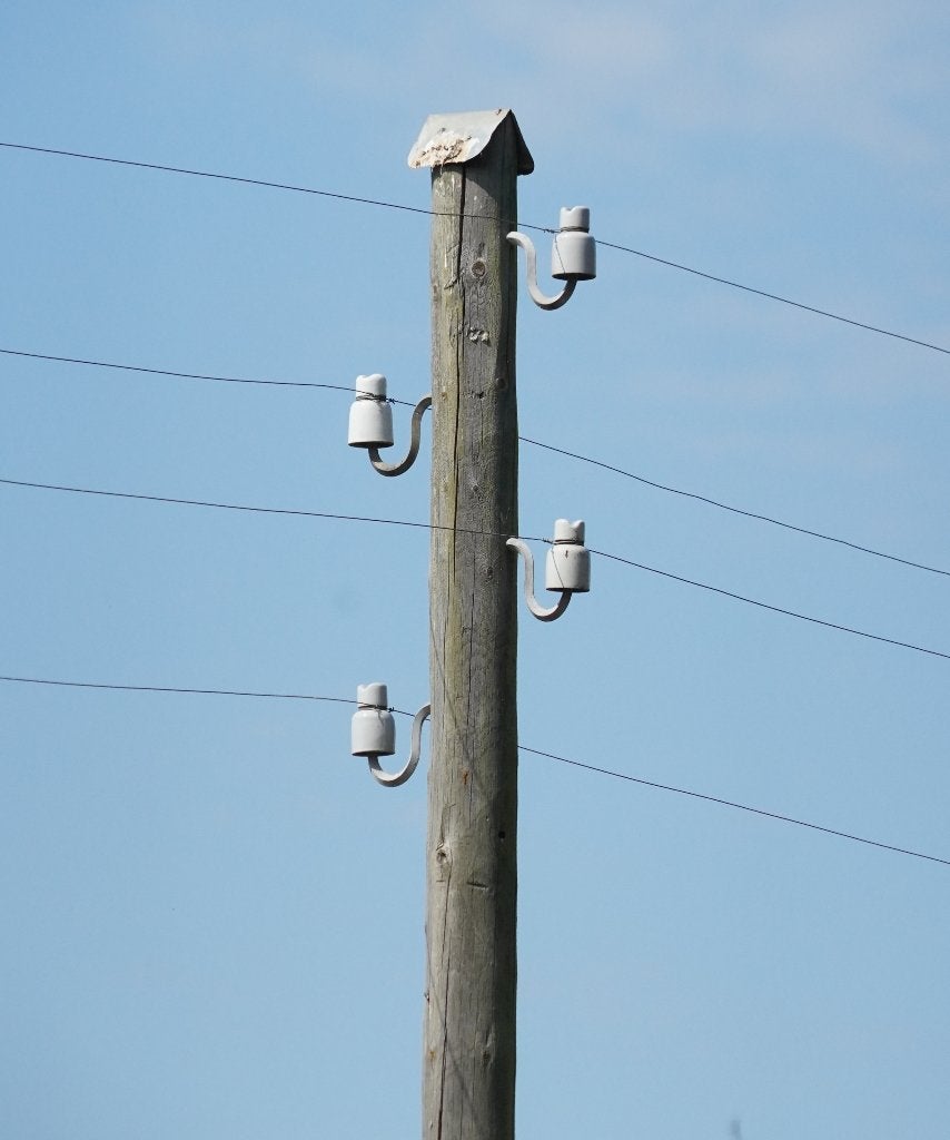 zwaluwen op een draadje  porselein isolatoren, Dieren en Toebehoren, Ophalen, Gebruikt, Overige typen