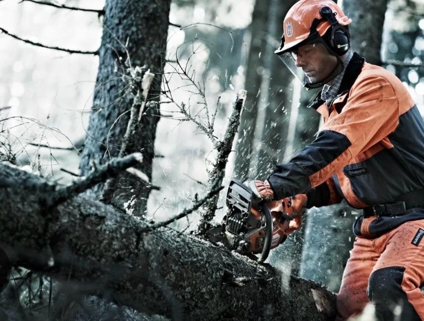 GRATIS uw boom/bomen gezaagd!, Tuin en Terras, Minder dan 3 m³, Ophalen of Verzenden, Stammen