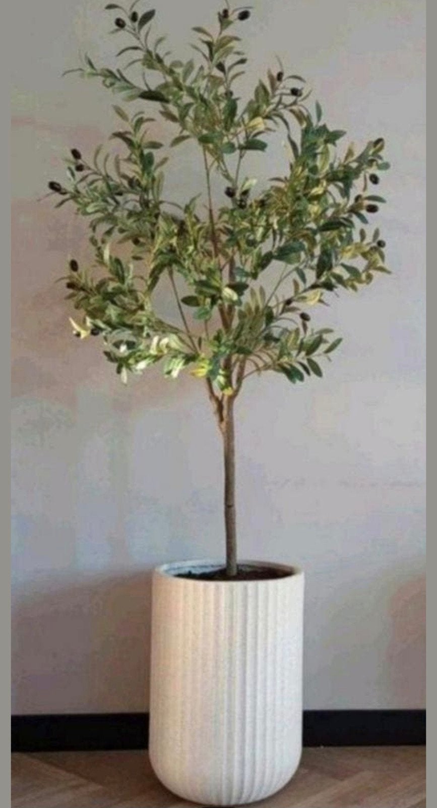 prachtige grote kunst olijfboom, Ophalen of Verzenden, Nieuw
