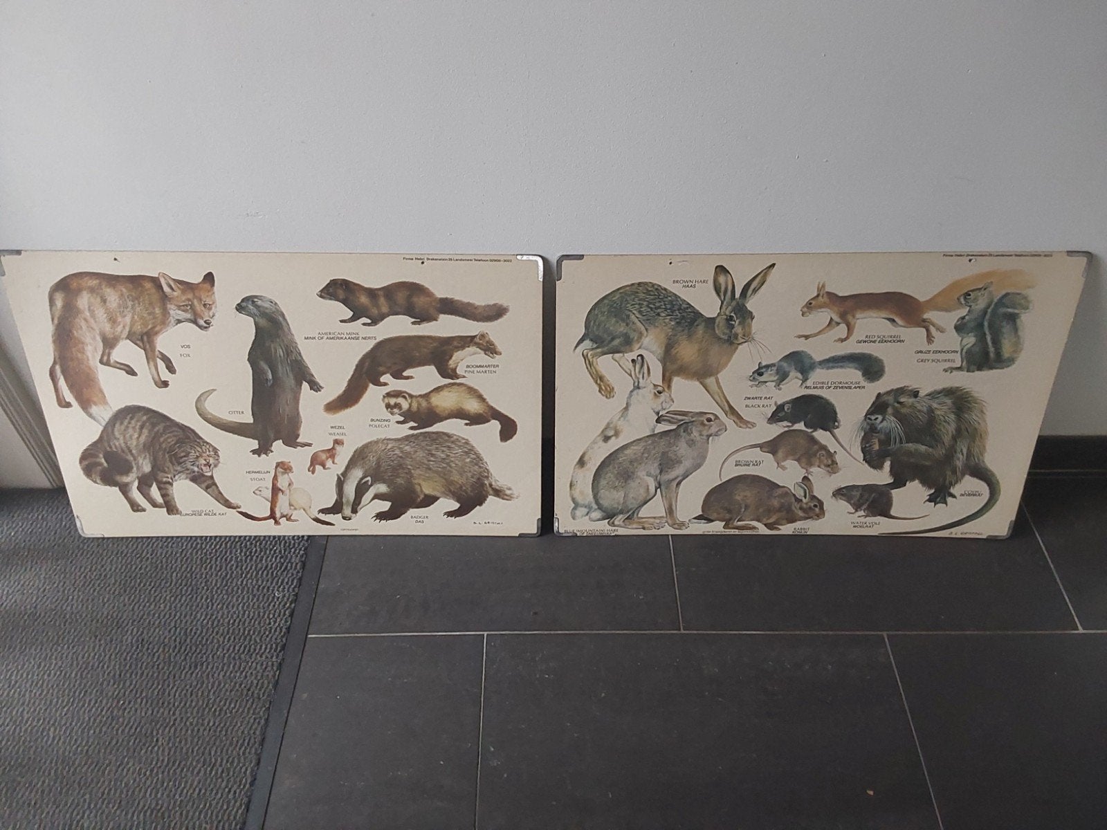 Schoolplaten firma hebri, Ophalen of Verzenden, Minder dan 50 cm, Schilderij