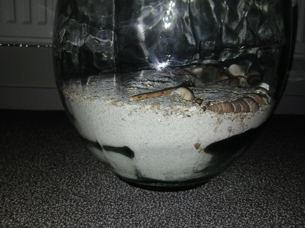 Foambloempot, Ophalen, Gebruikt, Glas, Geschikt voor droogbloemen