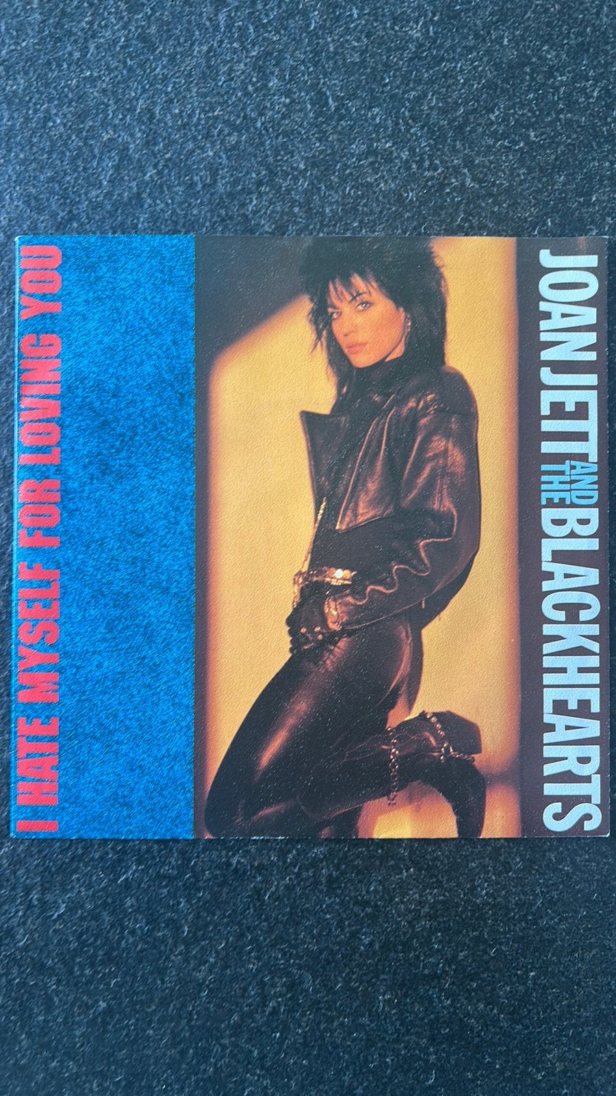 Joan Jett And The Blackhearts - I Hate Myself For Loving You, Ophalen of Verzenden, Zo goed als nieuw, Pop