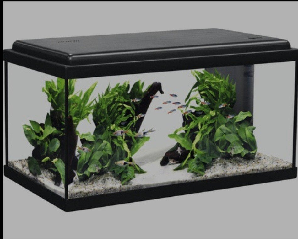 AQUATLANTIS Aquarium Advance LED zwart 54 L, 60x30x34 cm, Vis