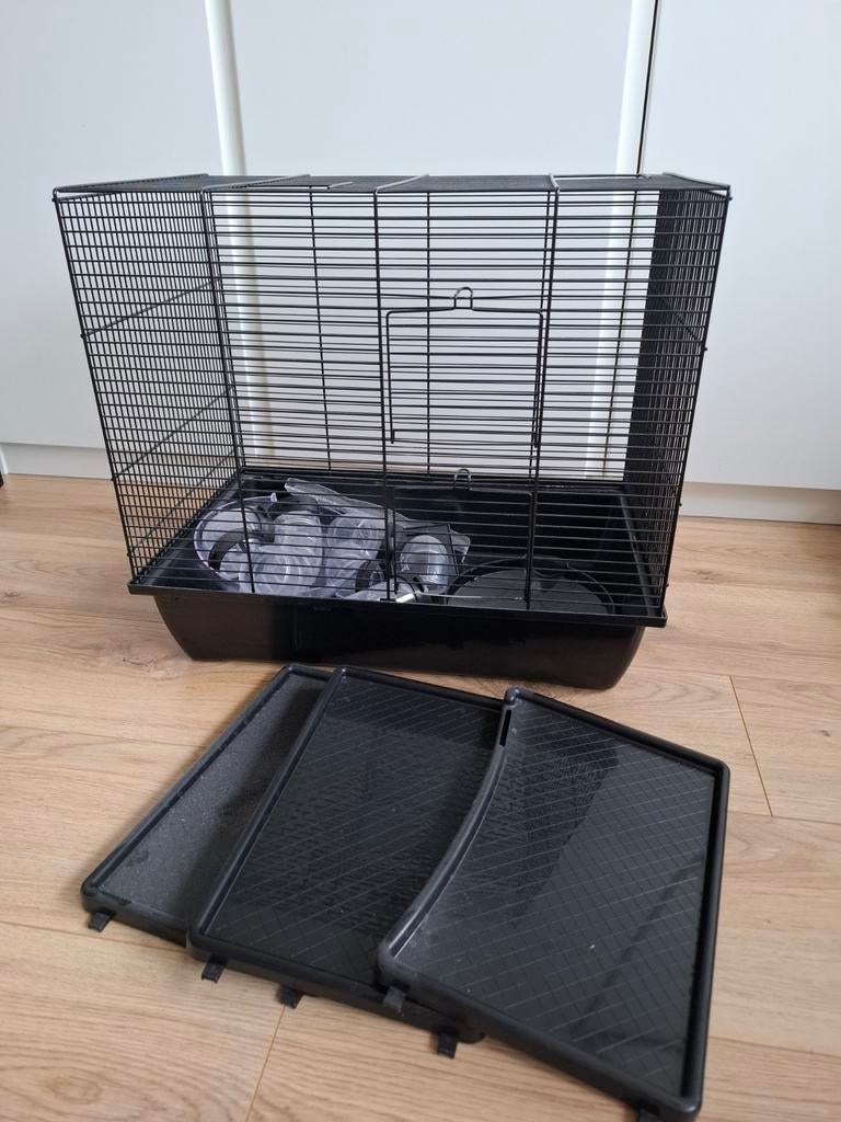 Hamster kooi + toebehoren, Dieren en Toebehoren, Kooi, Minder dan 75 cm, Hamster, Ophalen