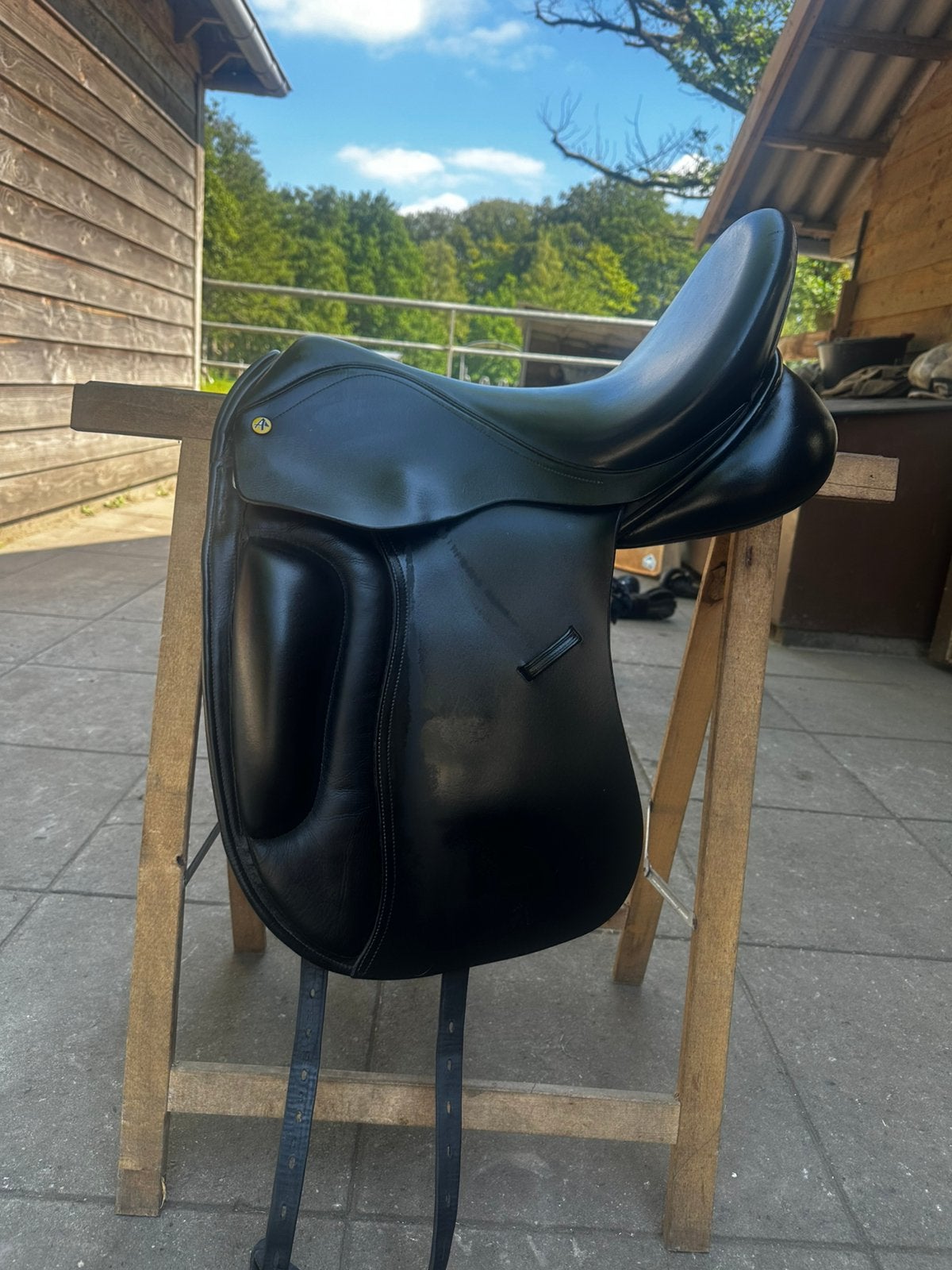 Anatomica Cygnus G3, Ophalen, Zo goed als nieuw, Dressuur