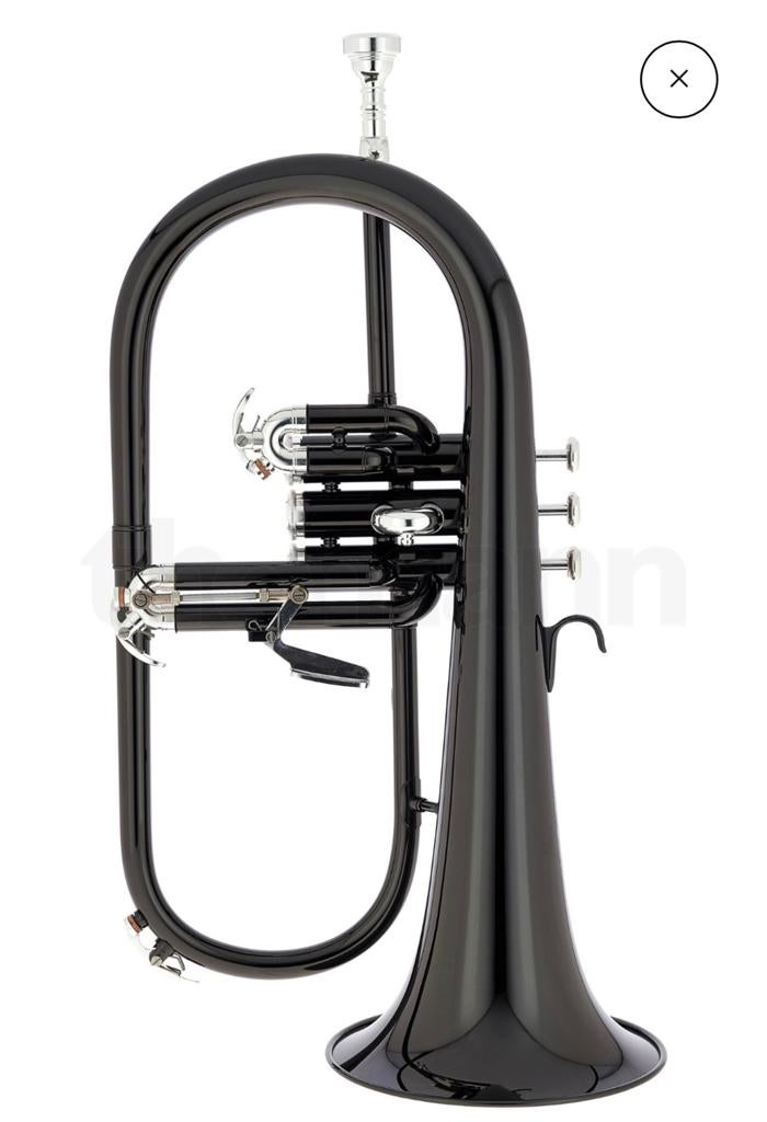 bugel/ Flugelhorn gezocht, Ophalen of Verzenden, Gebruikt, Overige typen, Met koffer