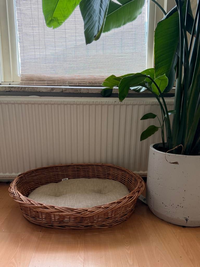Rotan hondenmand met kussen, helemaal nieuw, 70 cm, Dieren en Toebehoren, Hondenmanden, Ophalen of Verzenden, Nieuw, Riet