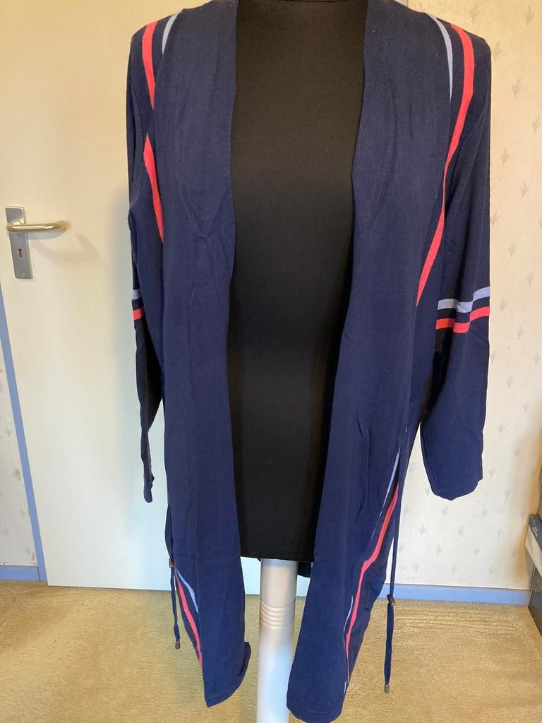 110 Expresso vest Carry in maat XL, Verzenden, Zo goed als nieuw, Maat 42/44 (L), Blauw