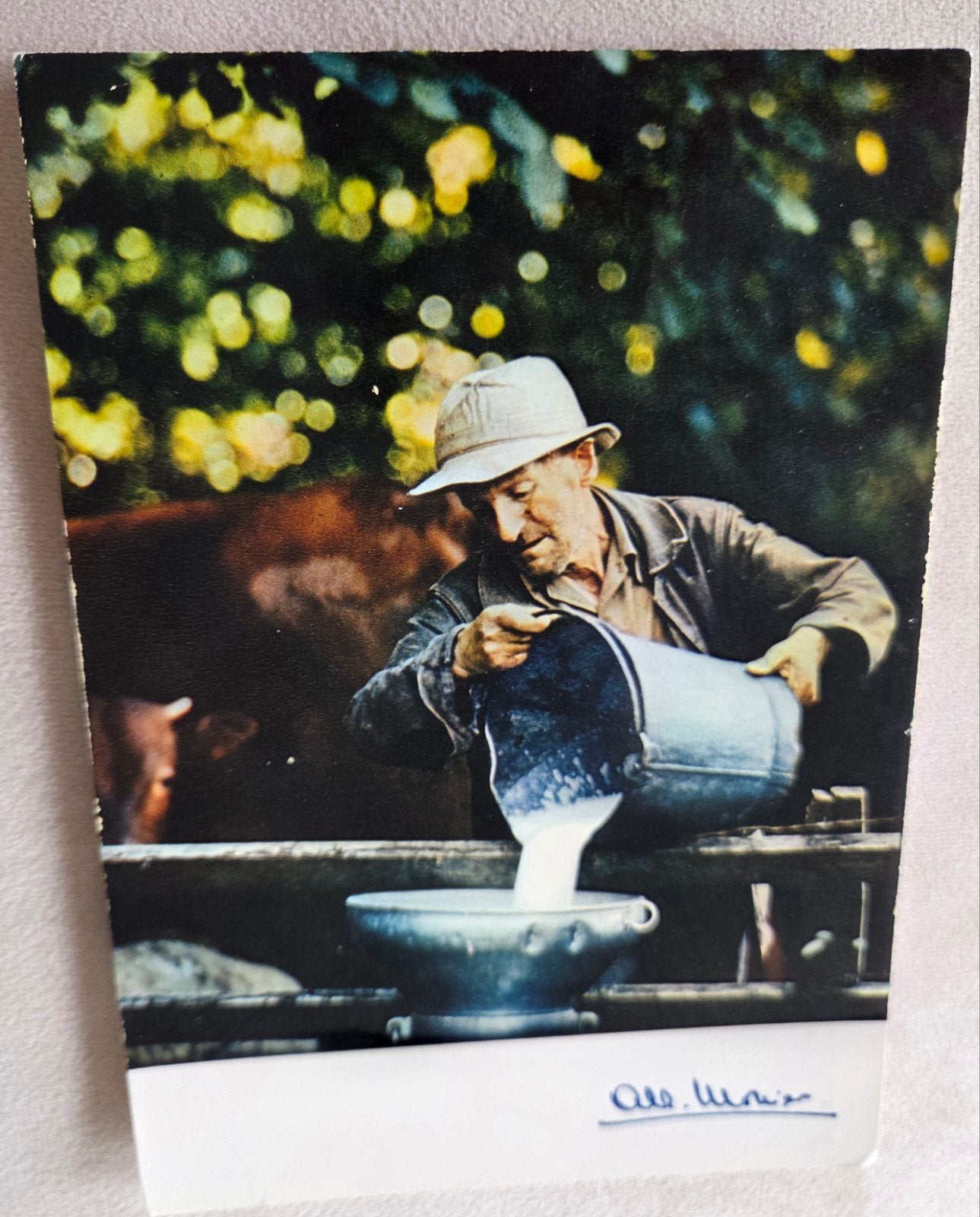 Melkende Boer in Frankrijk (1977), Verzenden, 1960 tot 1980, Gelopen, Frankrijk