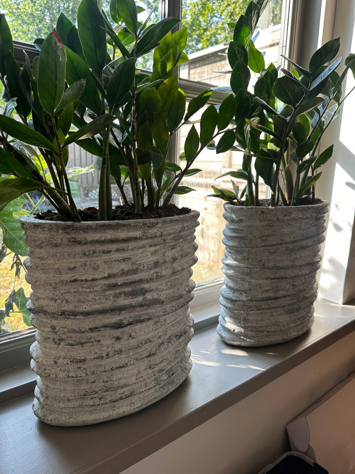 2 Betonlook/ grijze  Plantenpotten met Planten, Tuin en Terras, Gebruikt, Rond, Binnen, Minder dan 40 cm