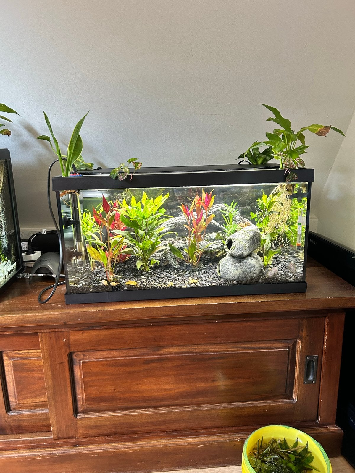 Zgan 54 liter Aguarium, Ophalen, Zo goed als nieuw, Leeg aquarium, Verwarming