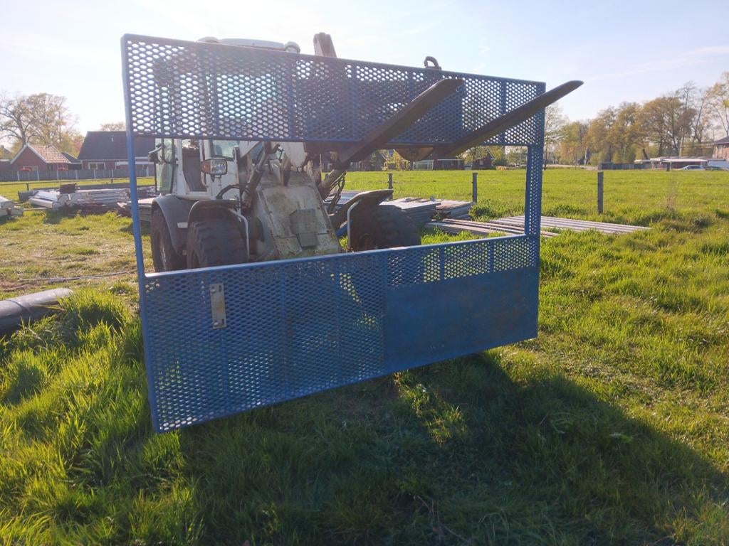 Kraamhokken, Mannelijk, Schaap