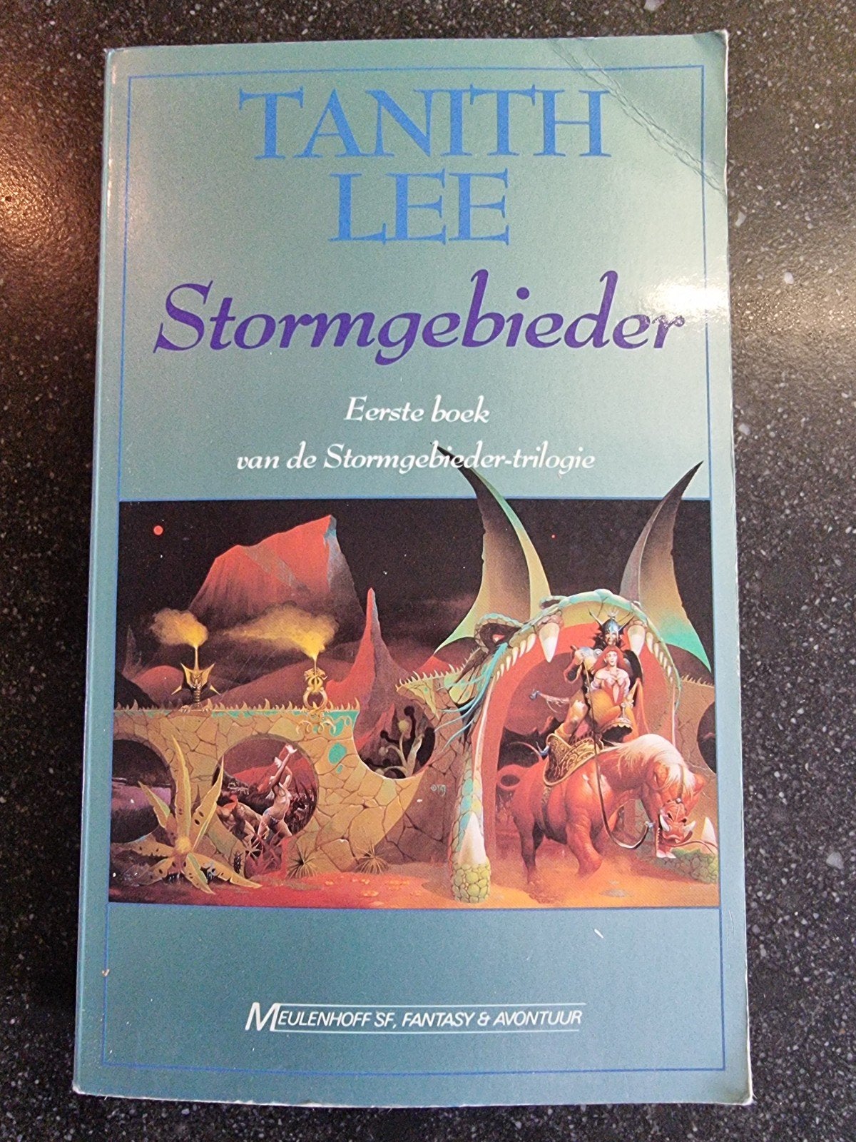 Stormgebieder - Tanith Lee (Eerste Boek), Verzenden, Gelezen, Tanith Lee