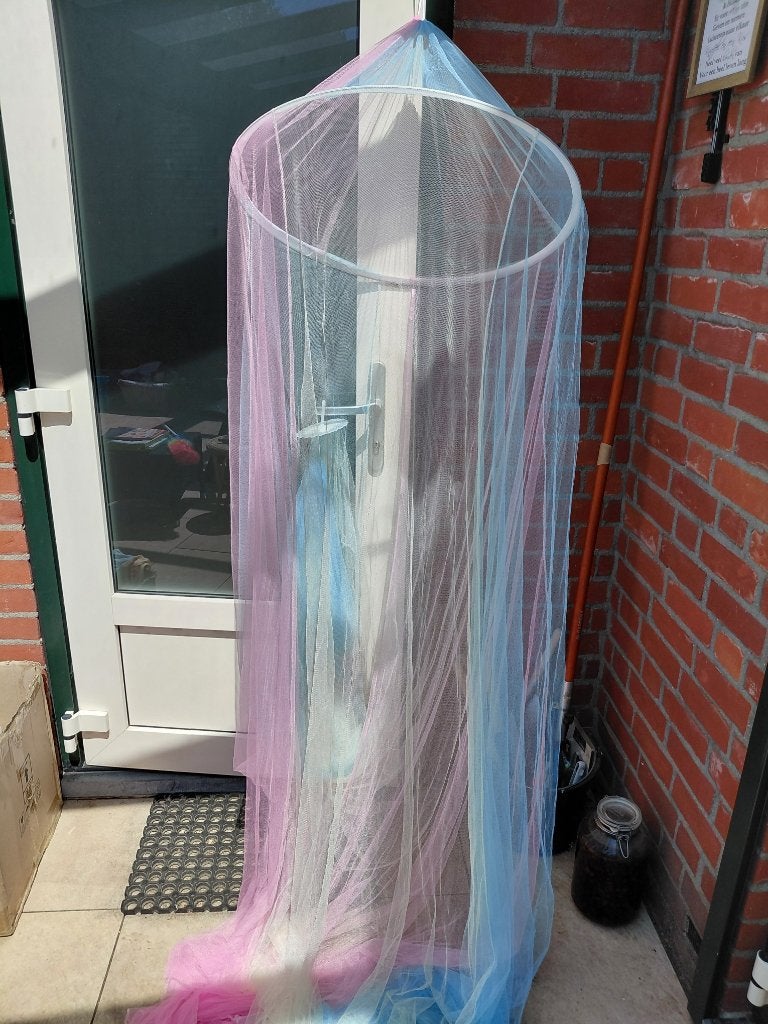 kleurrijke regenboog klamboe bedhemel, Meerkleurig, Ophalen of Verzenden, Zo goed als nieuw, Klamboe