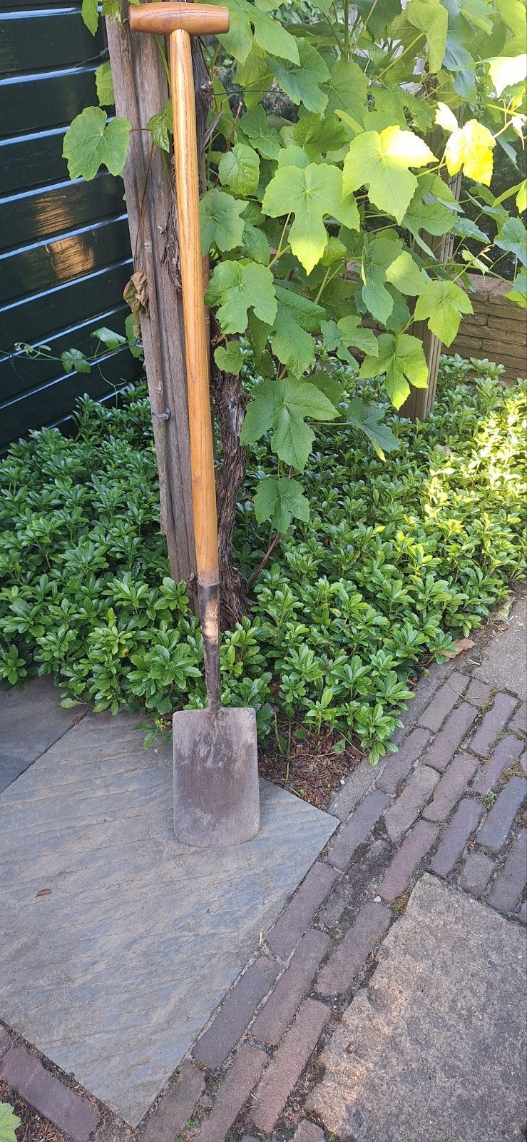 Zware platte schep met houten steel, Ophalen, Gebruikt, Schop