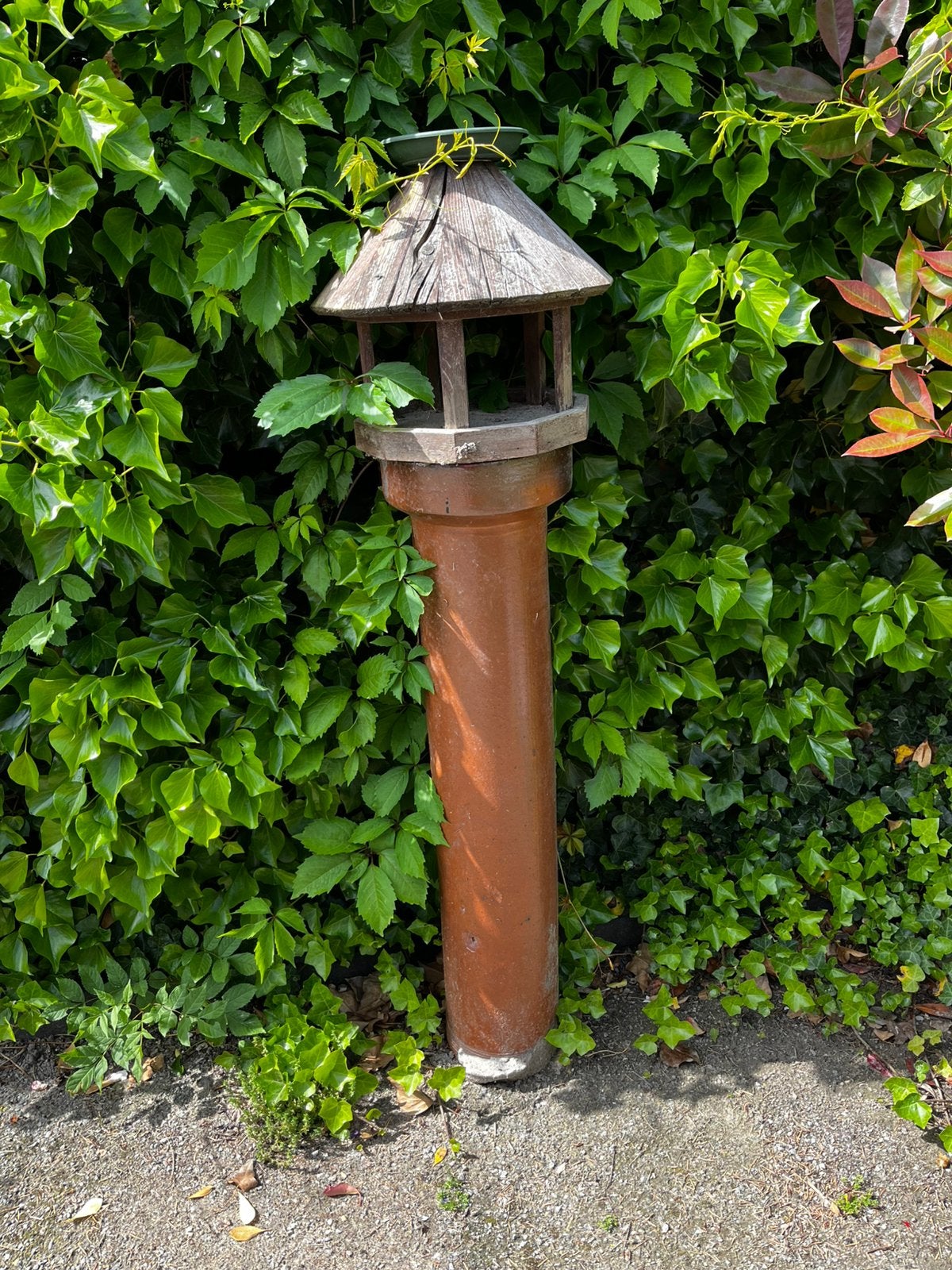GRATIS Vogelhuis op rioolbuis GRATIS, Tuin en Terras, Vogelhuisjes en Vogelbaden, Ophalen of Verzenden, Gebruikt