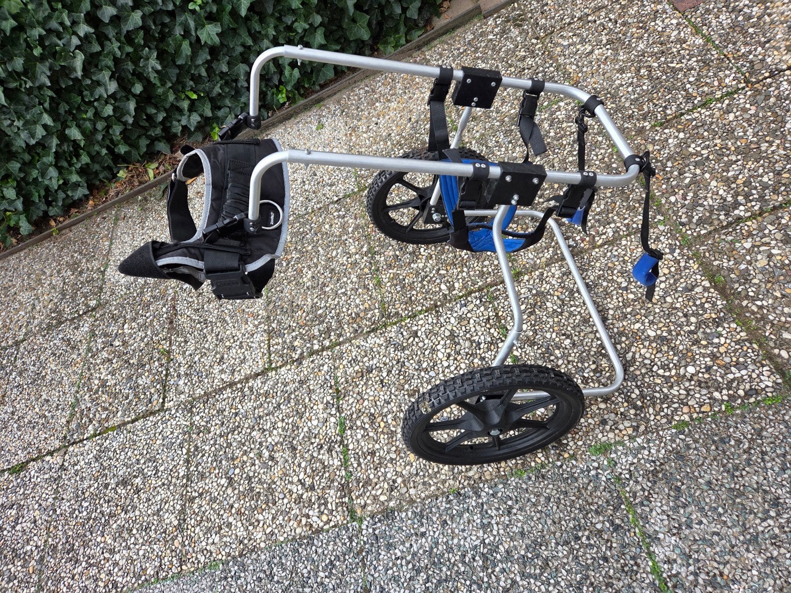 hondenrolstoel, Ophalen