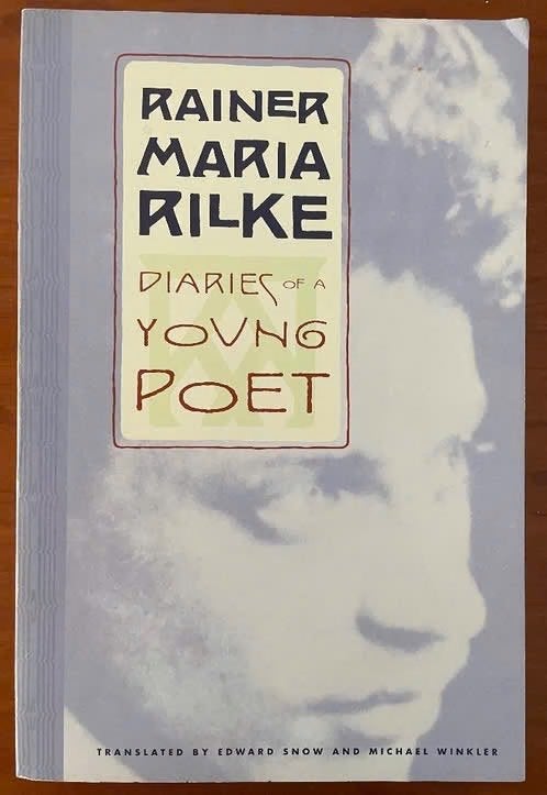 Diaries of a Young Poet van Rainer Maria Rilke, Verzenden, Gelezen