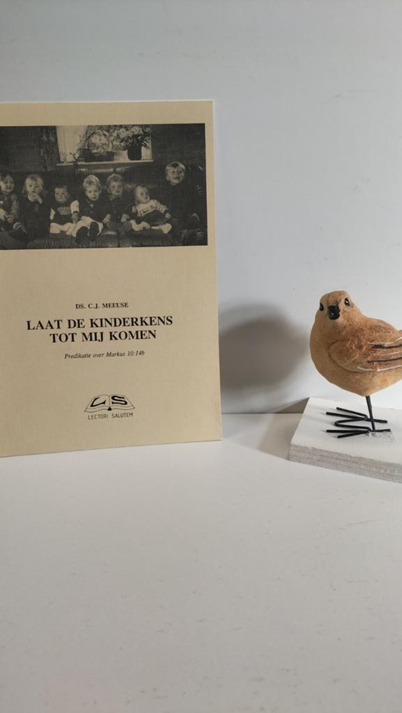 Meeuse, Ds. C.J.;  Laat de kinderkens tot Mij komen, Ophalen of Verzenden, Gelezen, Christendom | Protestants