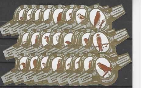reeks 4191   roofvogels   1-24  sigarenbanden, Ophalen of Verzenden, Zo goed als nieuw, Sigarenbandjes