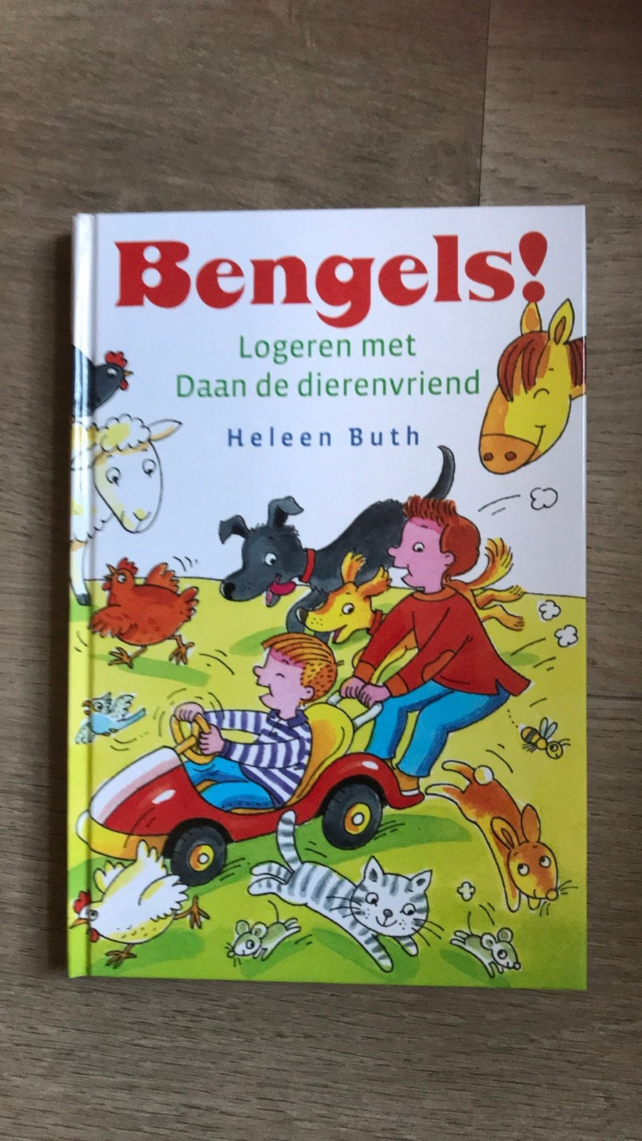 Bengels! Logeren met Daan de dierenvriend, Ophalen of Verzenden, Zo goed als nieuw, 3 tot 4 jaar