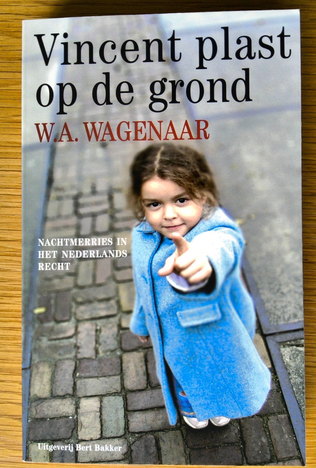 Willem Wagenaar, Vincent plast op de grond. Nederlands recht, Maatschappij en Samenleving, Ophalen of Verzenden, Zo goed als nieuw