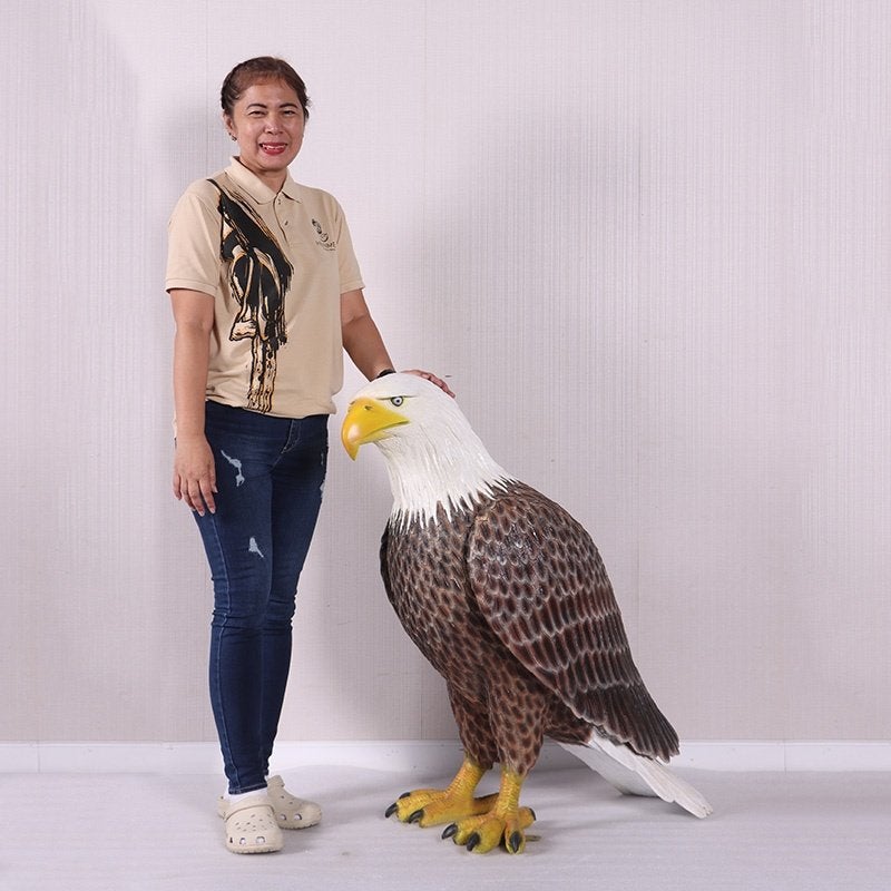 American Bald Eagle beeld – Adelaar, Ophalen, Nieuw, Overige typen