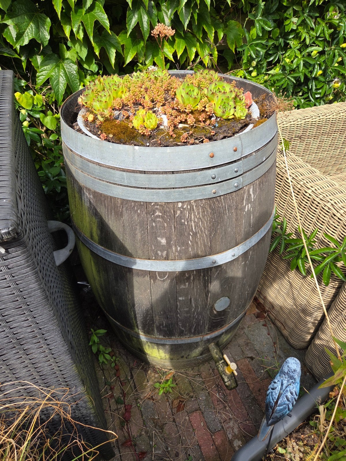 Wijnvat plantenbak met sedum, Tuin en Terras, Bloembakken en Plantenbakken, Ophalen, Gebruikt, Rond, Balkon