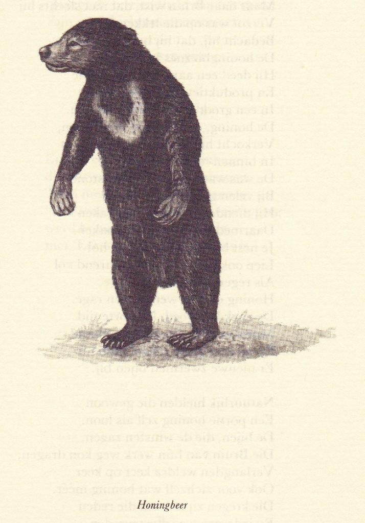 Drexhage, Hemmo (red.) - Dieren op versvoeten (1985), Verzenden, Nieuw