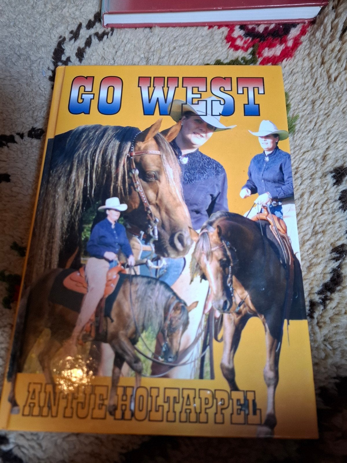Go West - Antje Holtappel (Paardenboek), Boeken, Ophalen of Verzenden, Gelezen, Antje Holtappel