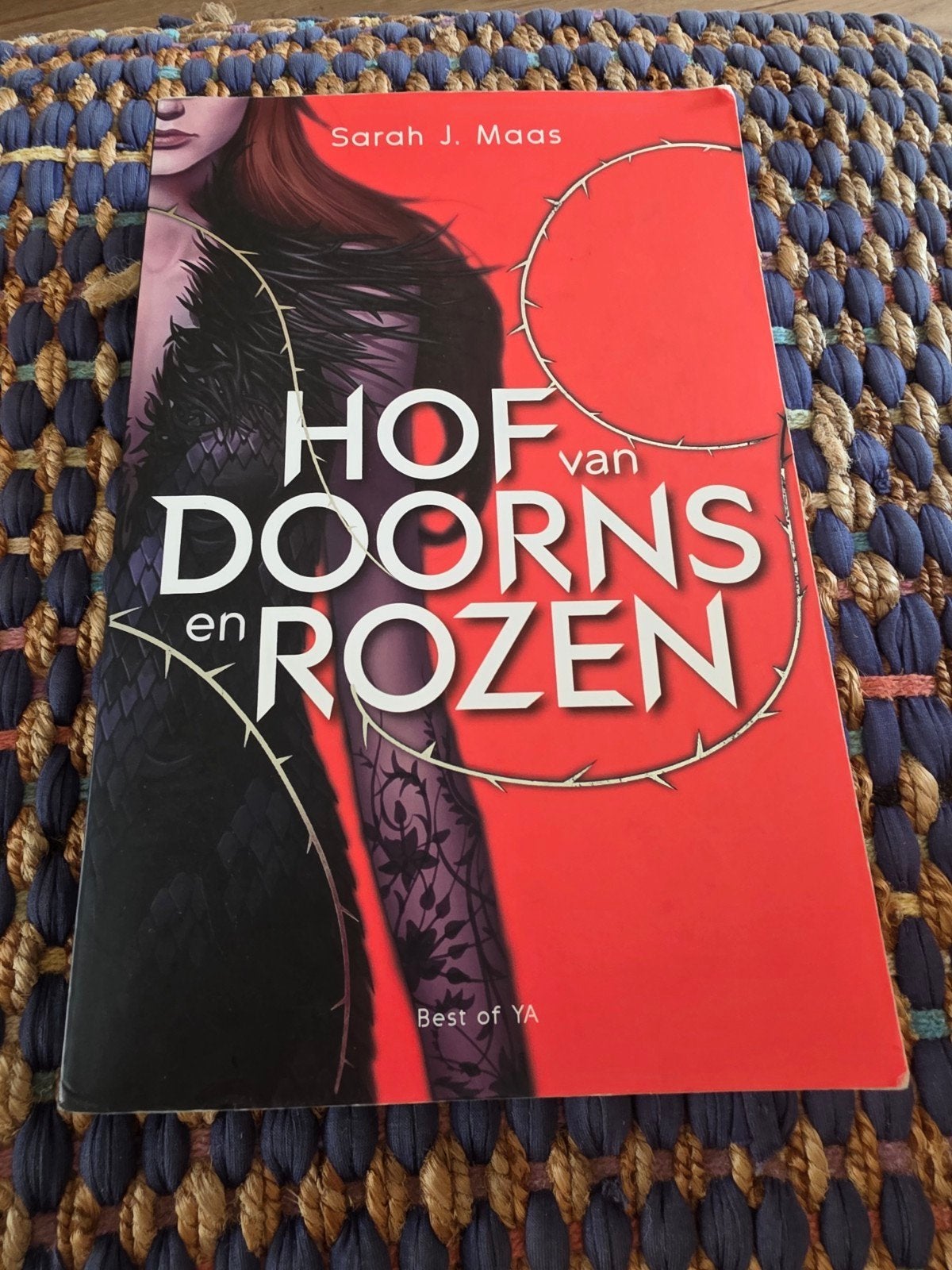 Hof van Doorns en Rozen - Sarah J. Maas (Best of YA), Boeken, Fantasy, Ophalen of Verzenden
