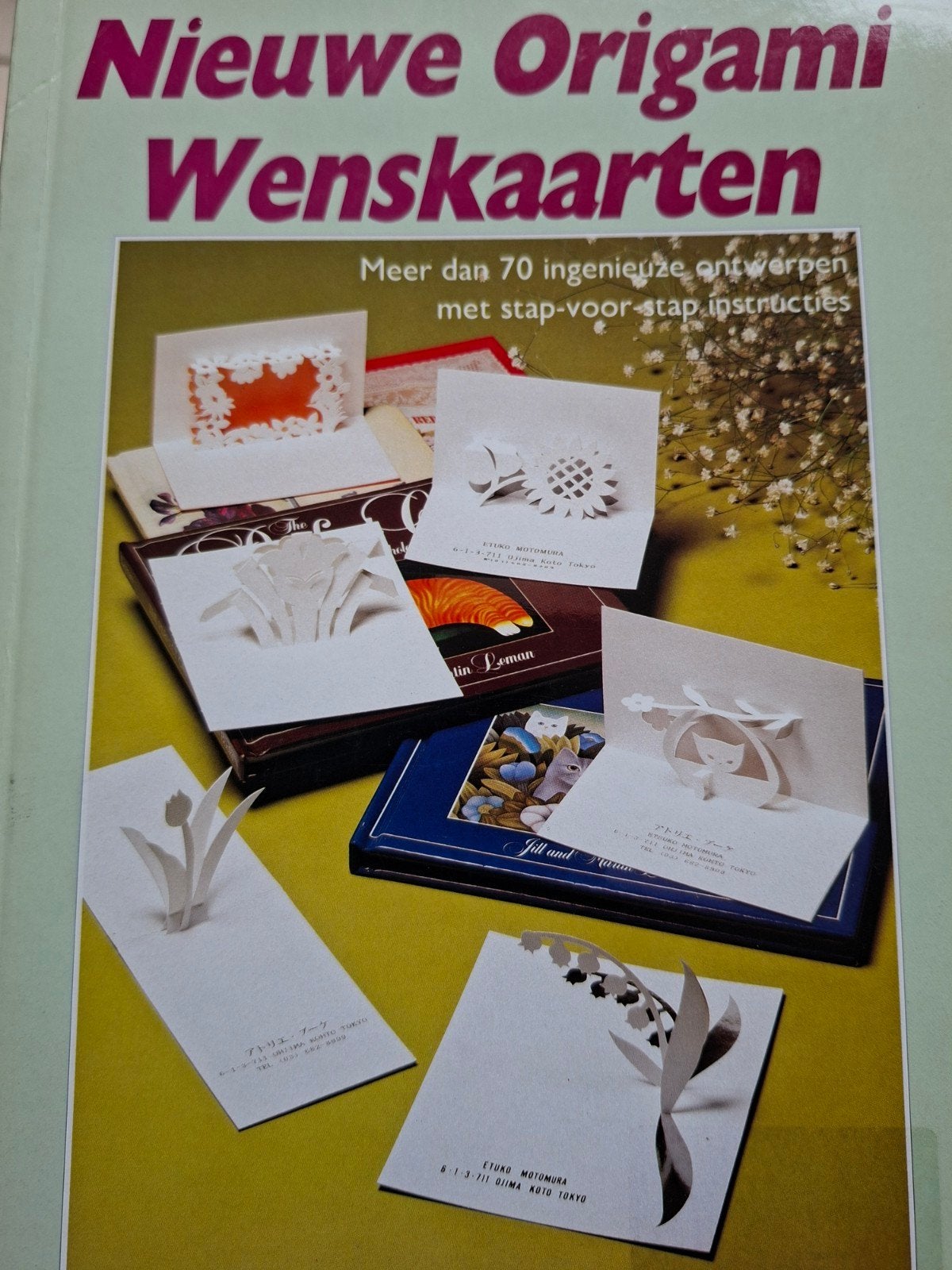 Hobbyboek: Nieuwe Origami wenskaarten, Ophalen of Verzenden