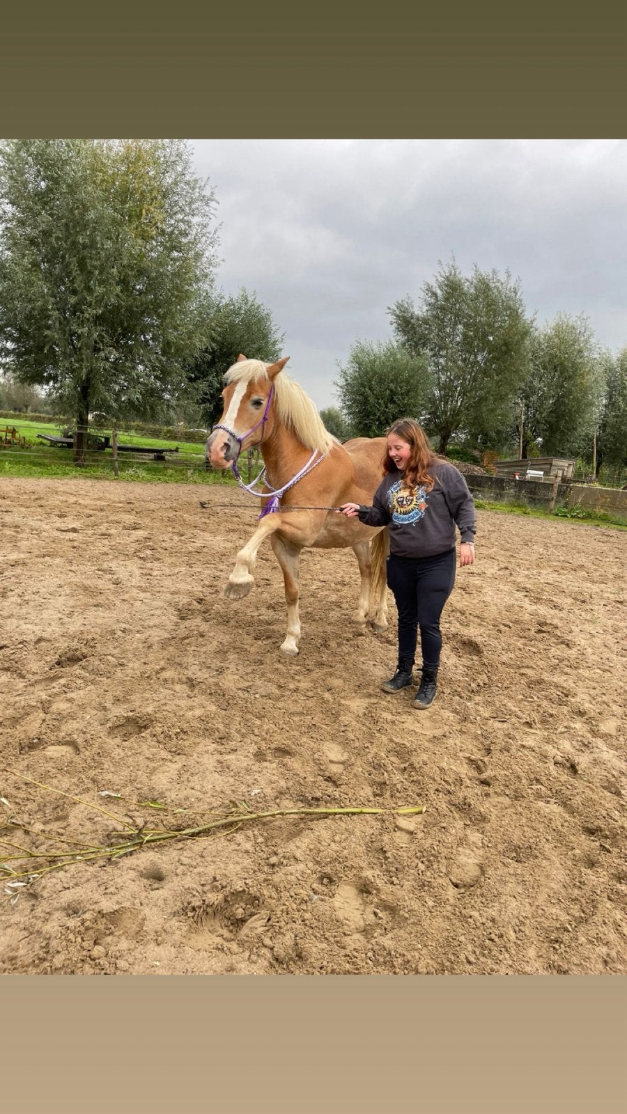 Verzorgster/bijrijder aangeboden, Ophalen of Verzenden, Zo goed als nieuw