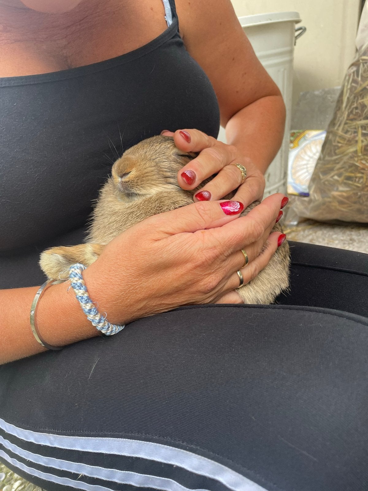 Lieve konijntjes, Dieren en Toebehoren, Mannelijk, Klein, Hangoor, 0 tot 2 jaar
