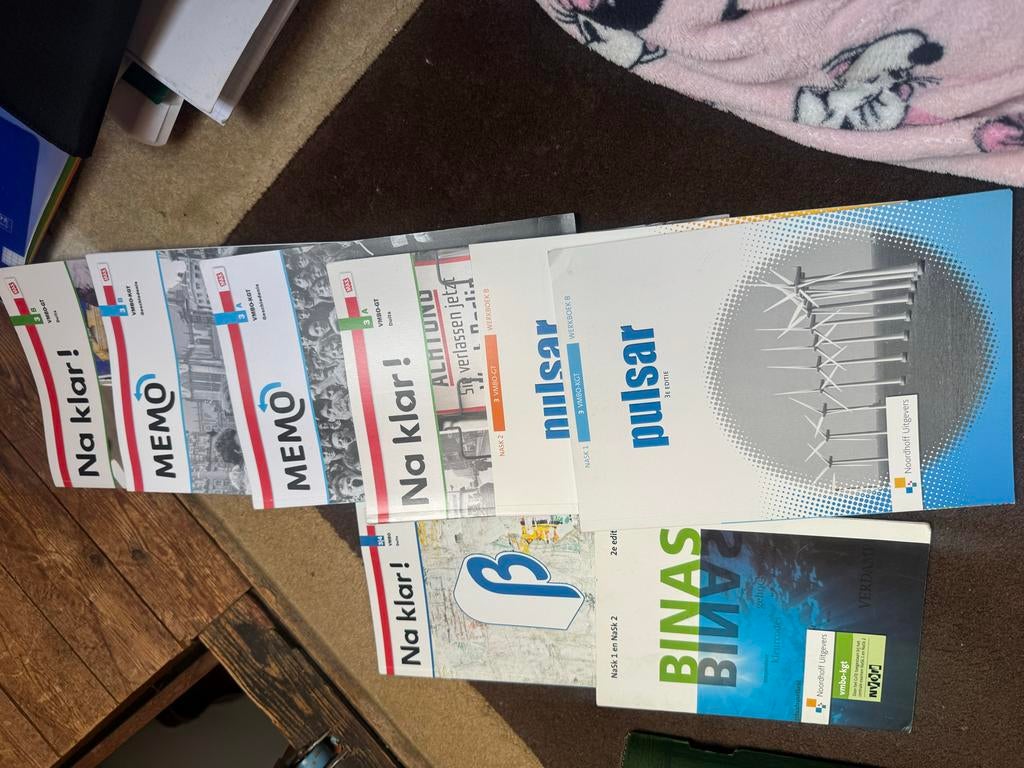Lesboeken 3mavo nieuw!!, Boeken, Ophalen of Verzenden, Zo goed als nieuw, VMBO, Duits