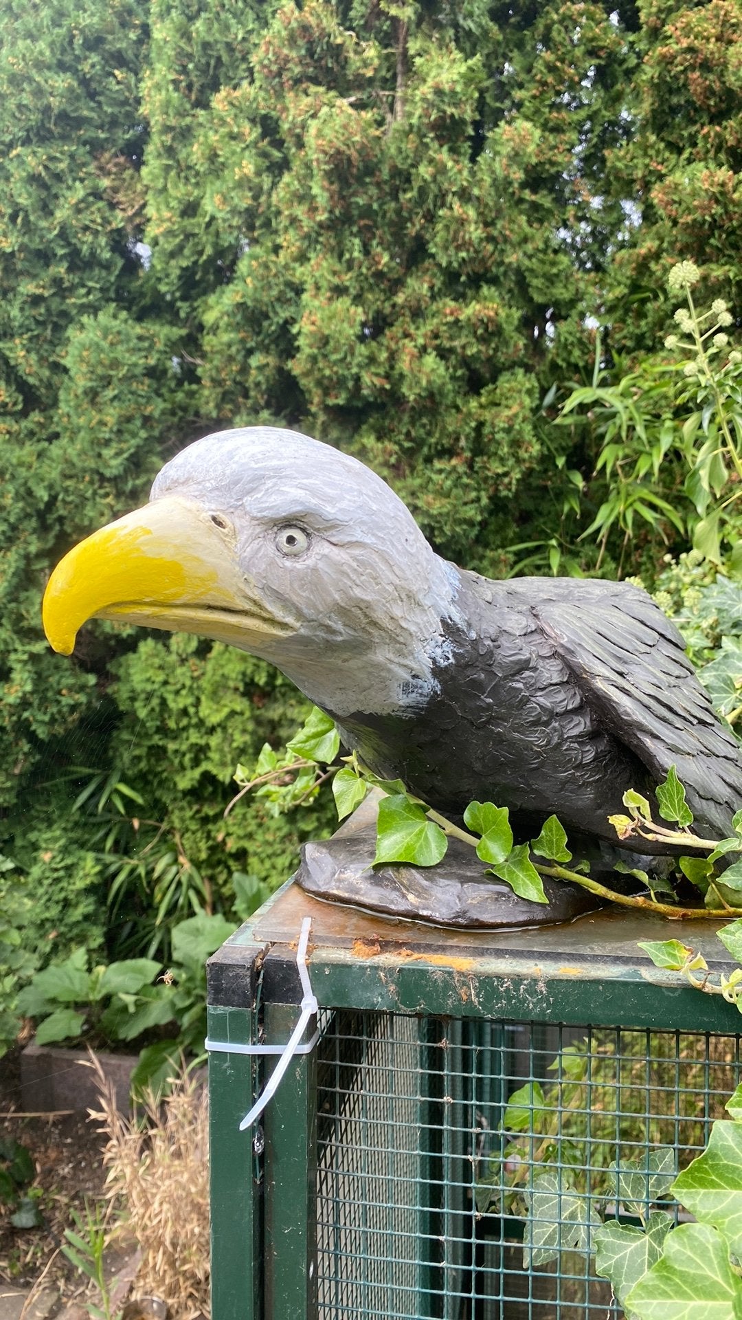 Tuinbeeld zeearend, Ophalen of Verzenden, Zo goed als nieuw, Steen, Dierenbeeld